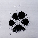 My Baby's Paw Pendant