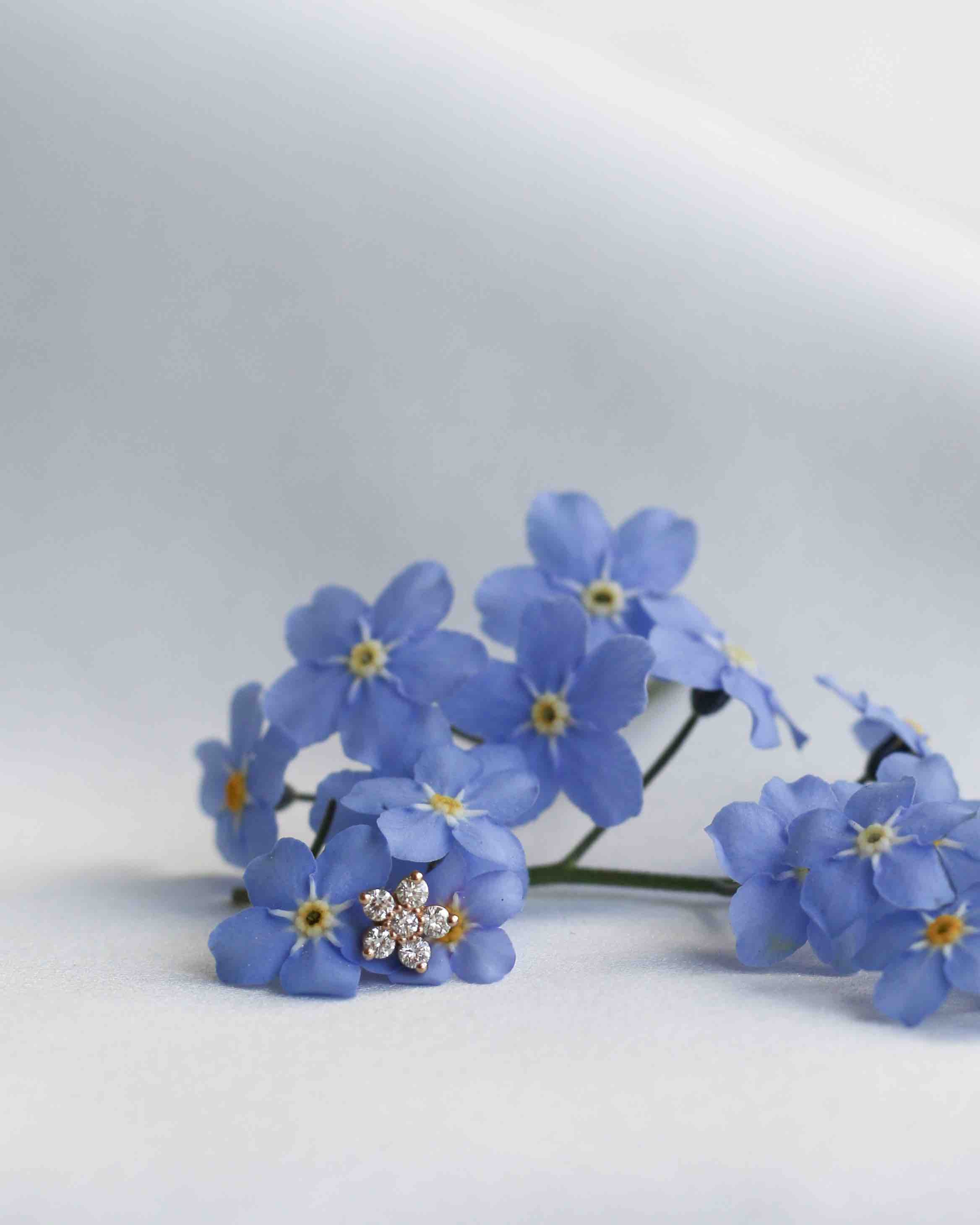 Den Hemliga Trädgården