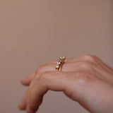The Solitaire