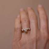 The Solitaire