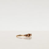 Elise Ring with Chocolate and Champagne Diamond Gradient