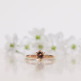 Finished: Solitaire Petite Little Sparkle Ring with Champagne Morganite and Chocolate Diamonds